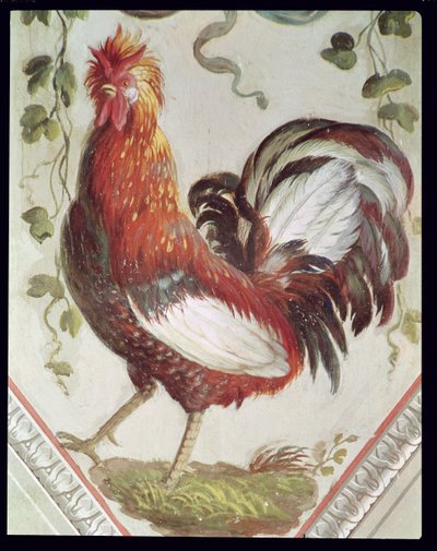 Detalle de un gallo, finales del siglo XVIII de Pietro Rotati